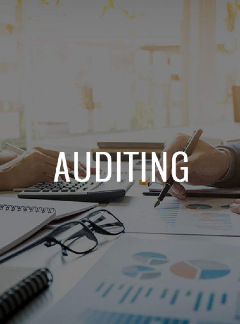 auditing3